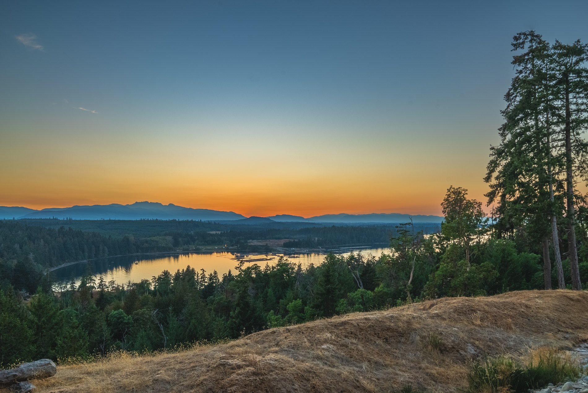 Sunset over the inlet from the property, with arbutus and fir in silhouette